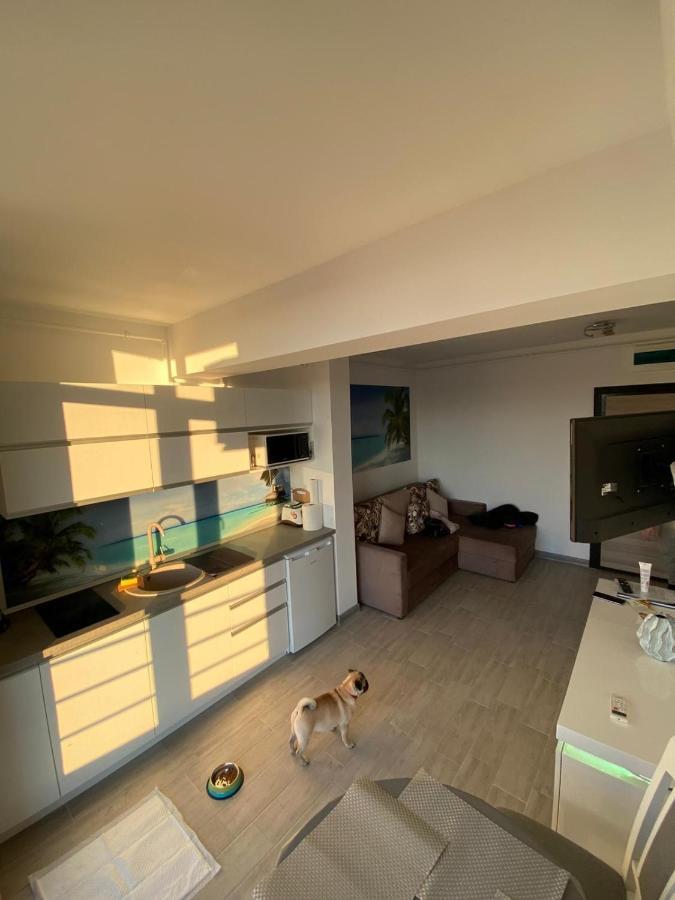 Apartament Edu Beach Resort Năvodari Eksteriør bilde